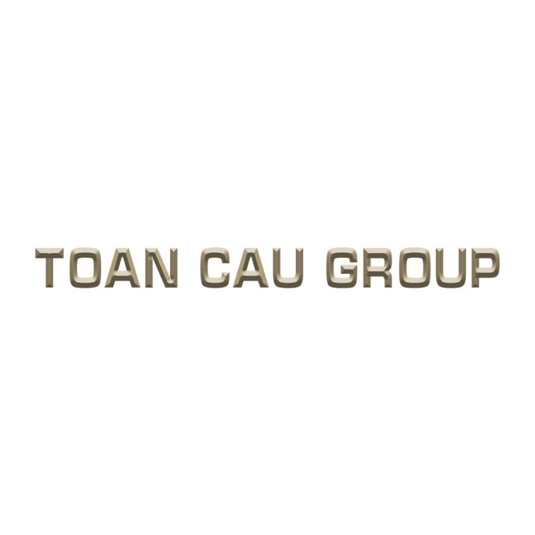 Logo Toancaugroup